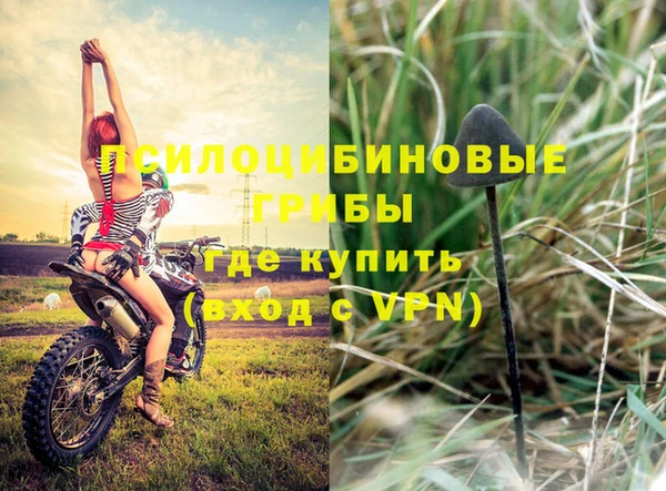 гашишное масло Богданович