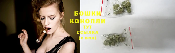 гашишное масло Богданович