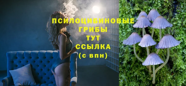 амф Богородицк