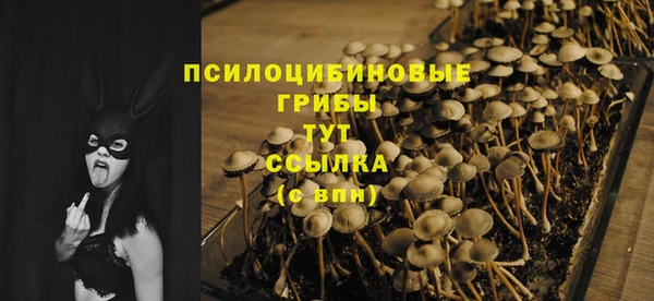 гашишное масло Богданович