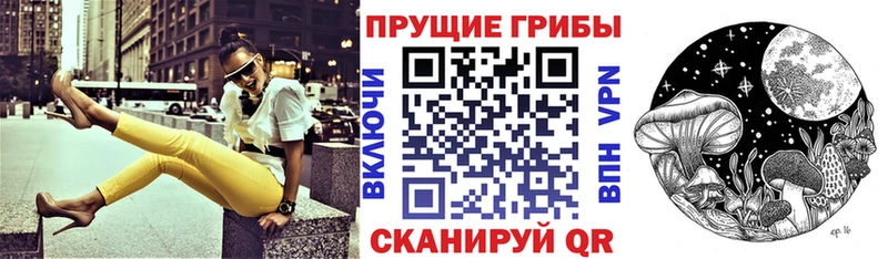 Галлюциногенные грибы Psilocybe  Сосногорск 